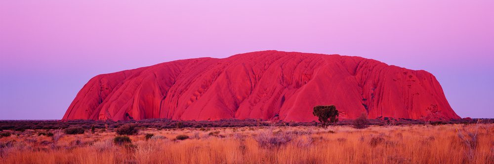 Ayers Rock sandstone formation illuminated by sunset under a pink sky above arid desert vegetation in Northern Territory, Ayers Rock Northern Territory, Australia.