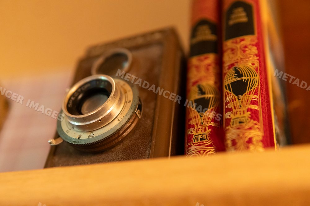 A vintage camera and decorative books displayed on a wooden shelf