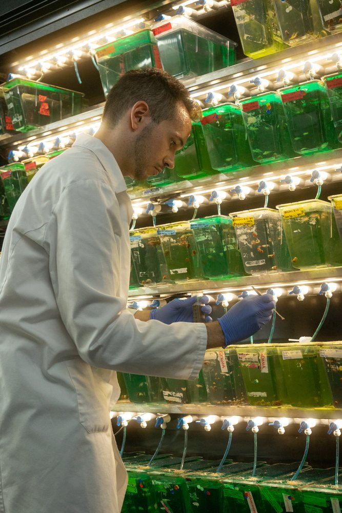 A scientist wearing a lab coat and blue gloves collects a sample from aquatic containers in a research laboratory, Spain.