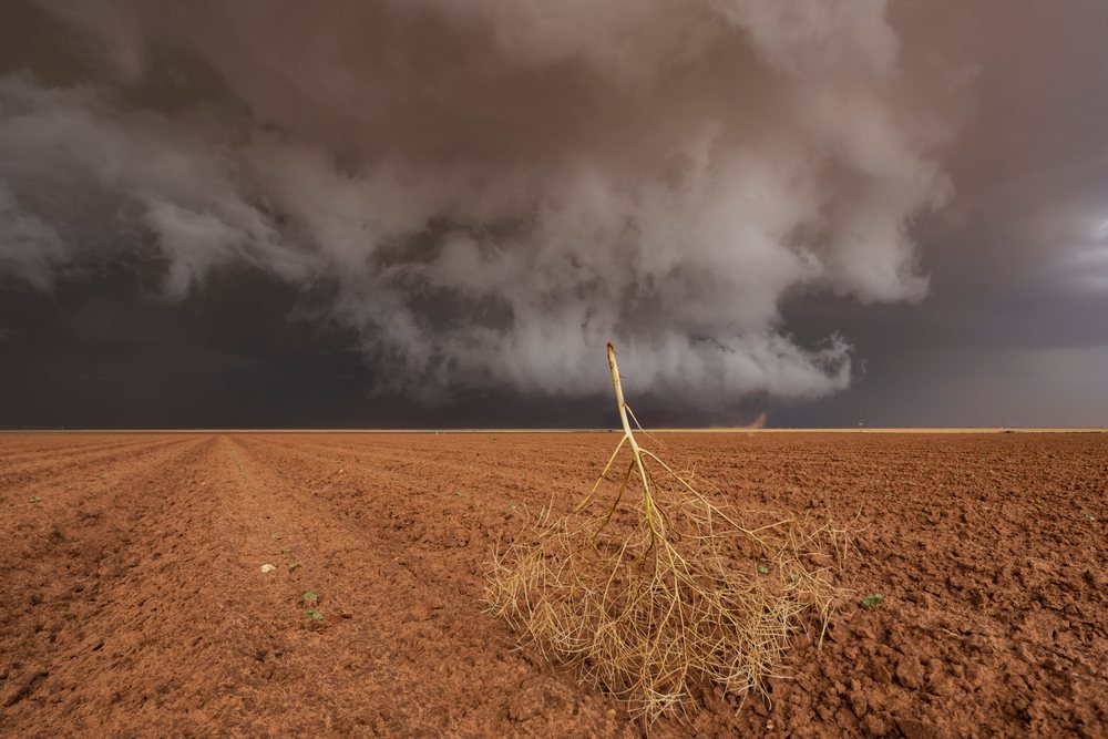 Tumbleweed in a dry plowed field beneath a dark Mesocyclone storm cloud, Morton, Texas, USA.
