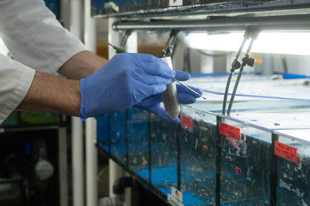 A scientist wearing blue gloves is handling a sample bottle near aquatic research tanks in a laboratory, Spain.