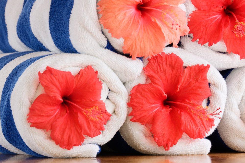 Rolled blue and white striped beach towels decorated with red hibiscus flowers on a wooden surface, Tahiti, French Polynesia.