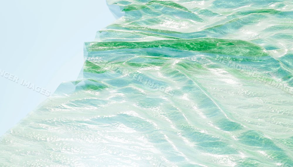 Close-up of fresh green leaf with detailed veins and texture