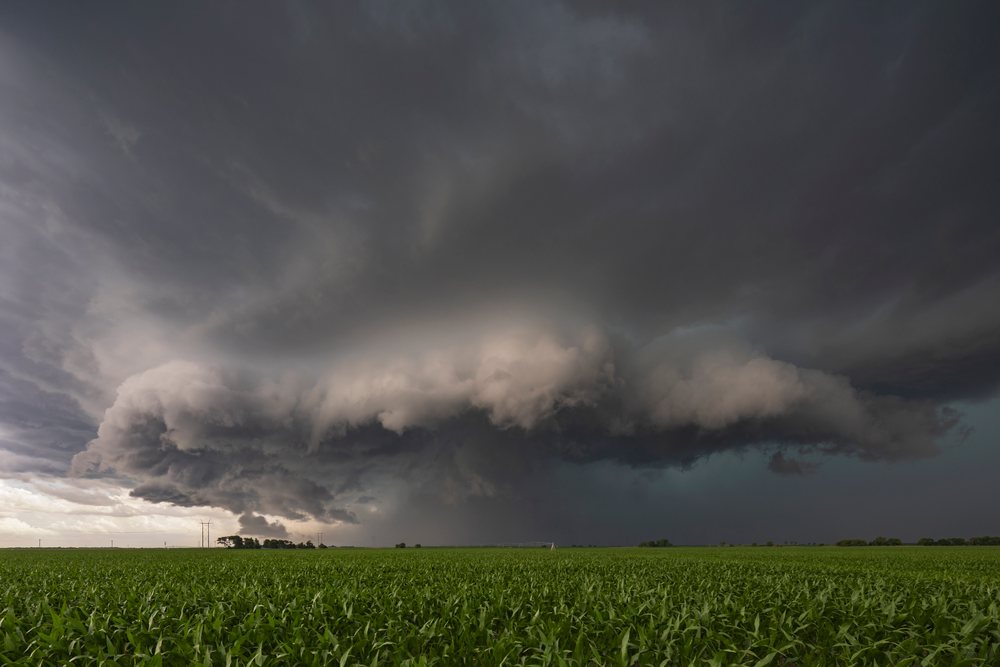 Storm Structure forming above a green Corn Field, USA under dark storm clouds, Odessa, Nebraska.