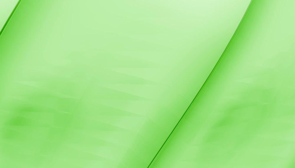 Close-up macro photograph showing the detailed veins and texture of a green leaf.
