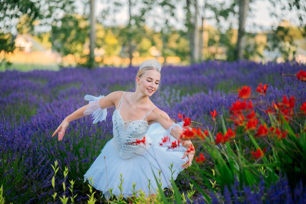 A young woman dressed in a white tutu and tiara dances gracefully in a lavender field with red flowers, WA, USA.