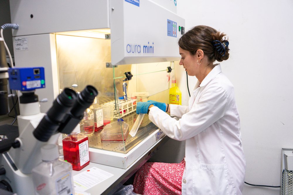 Scientist wearing lab coat and gloves working with samples inside a biological hood labeled 'aura mini' in a laboratory, research, biology, Seville, Andalucía.