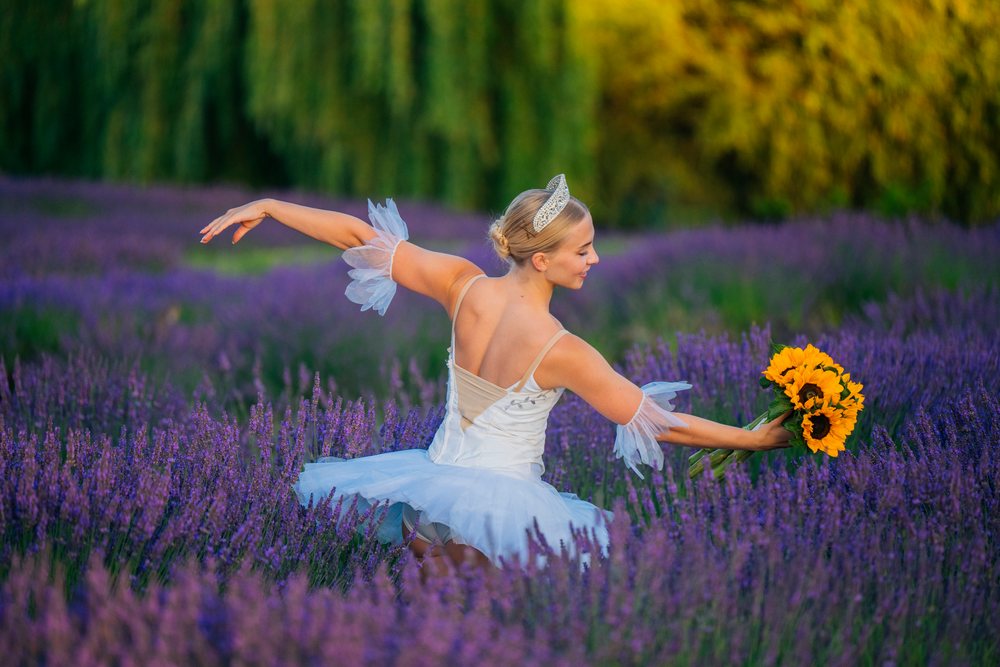 A ballerina in a white tutu dress holds a bouquet of sunflowers while dancing gracefully in a lavender field, WA, USA.