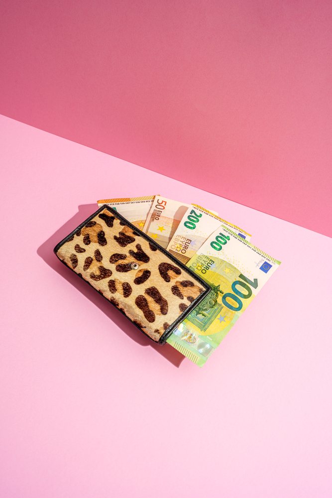 Leopard print wallet holding euro banknotes on a pink studio background, Studio Shot.