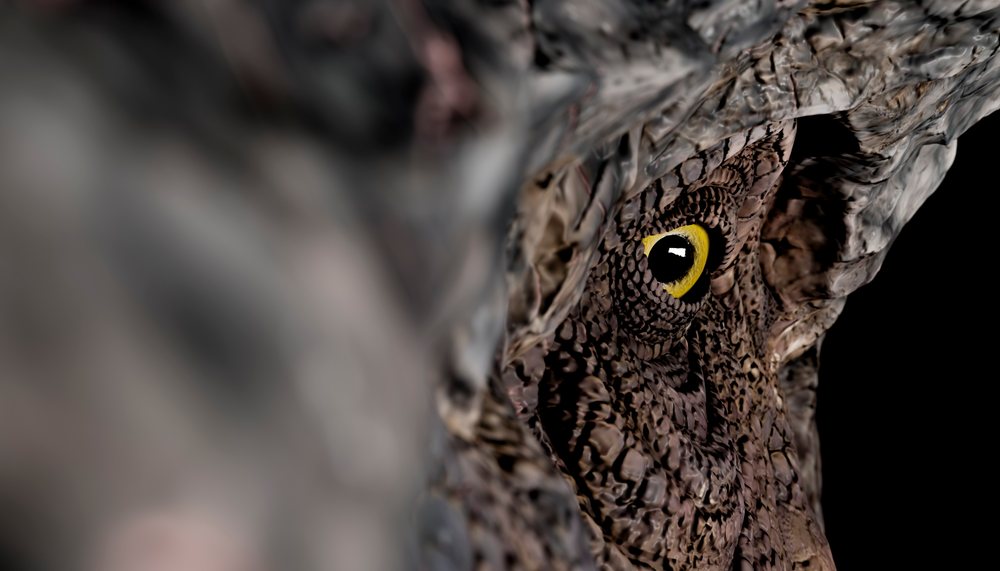 Close-up of a T-Rex eye with detailed skin texture and vivid yellow