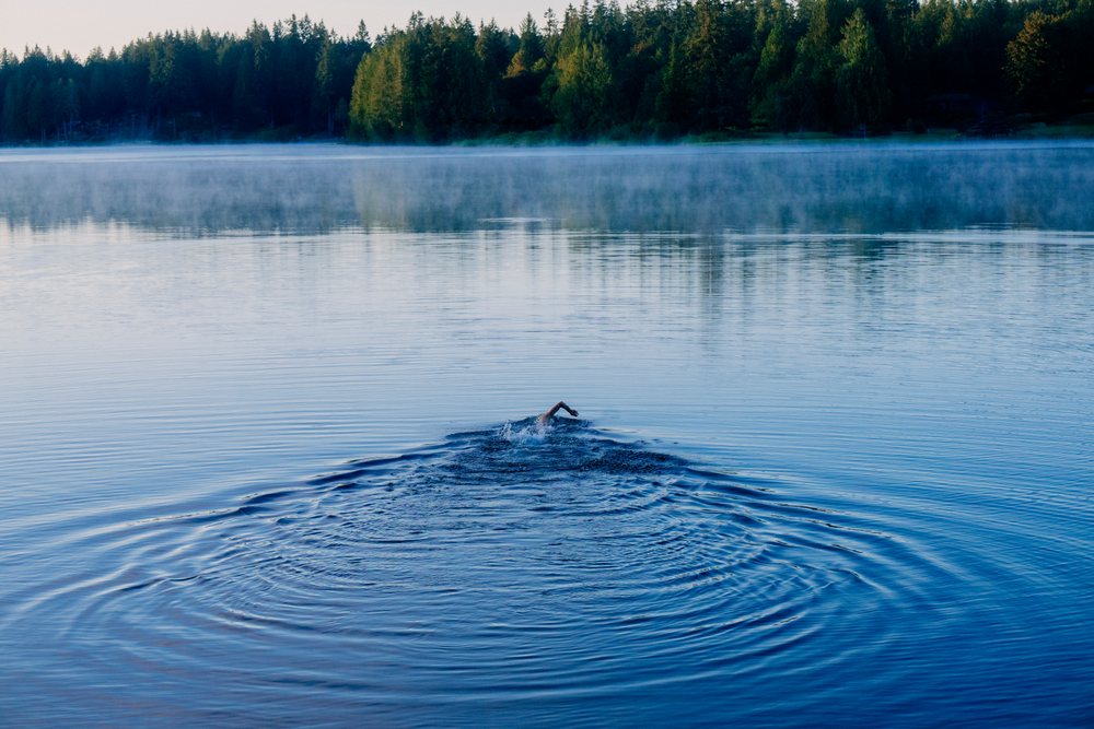 Swimmer swimming in a lake surrounded by forest under morning mist, USA.