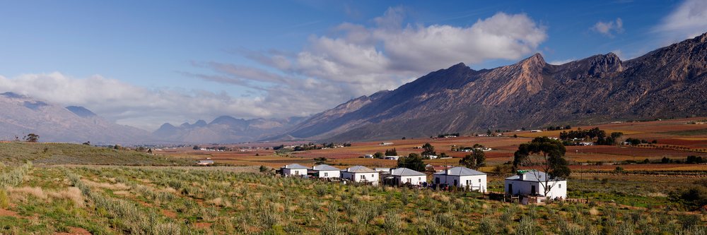 Hex River Valley features autumn vineyards and rural houses with mountains under blue skies, Western Cape, South Africa.