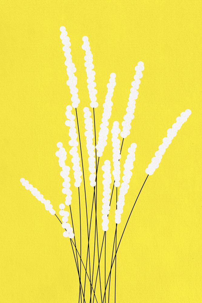 White elongated floral stems with small round clusters on a bright yellow background in a minimalist illustration.