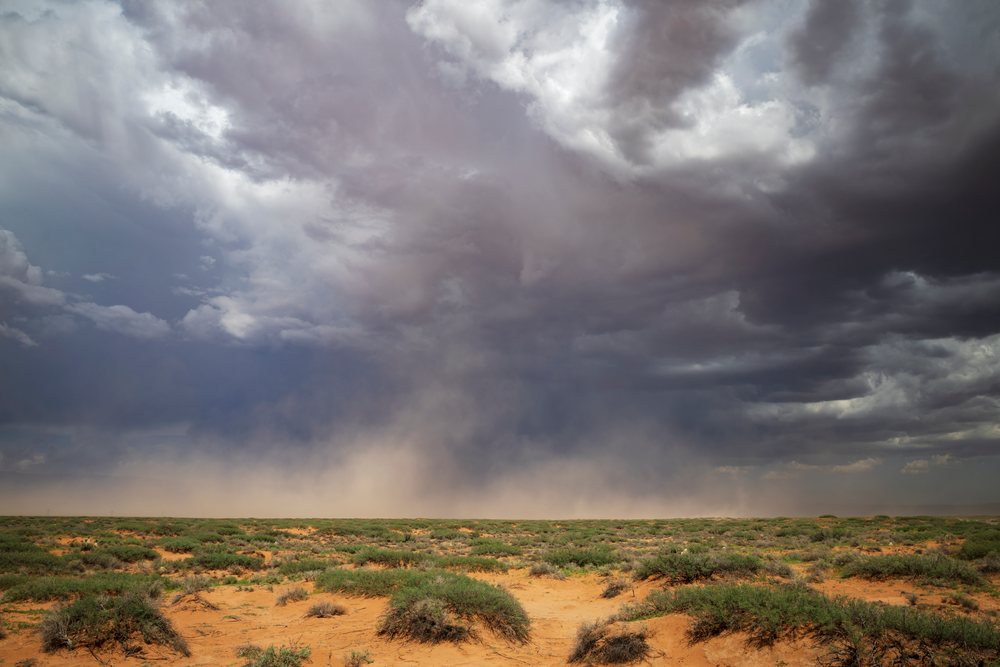 Storm clouds and dust rise over an arid desert brush landscape, signaling an approaching Storm, Alamogordo, New Mexico, USA.