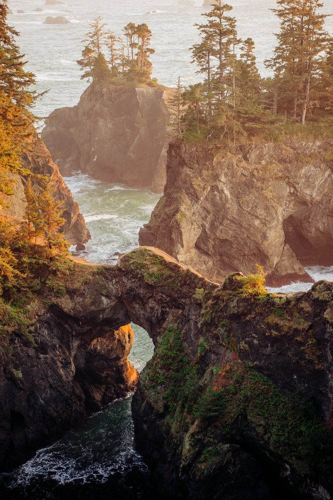 Natural rock arch and sea stacks with conifer trees along the coastline, during sunset, Boardman State Park, Oregon, USA.