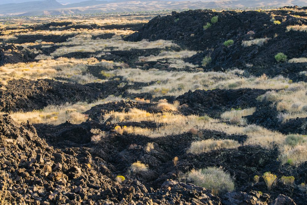 Lava field with dry grass and desert shrubs, with mountains in the background, Snow Canyon, red Cliffs Desert, Utah, USA.