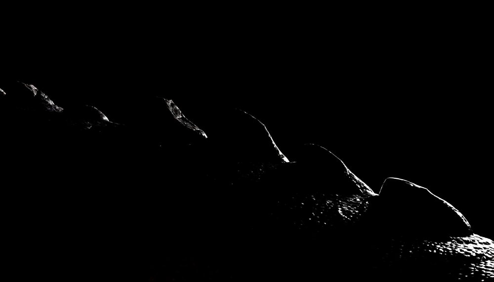 Close-up of dinosaur skin and spikes silhouette in dramatic lighting