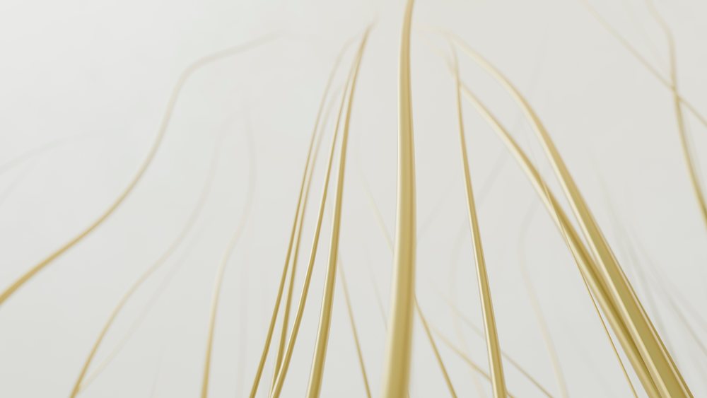 Thin beige curved strands arranged in an abstract minimalist design on a neutral background.