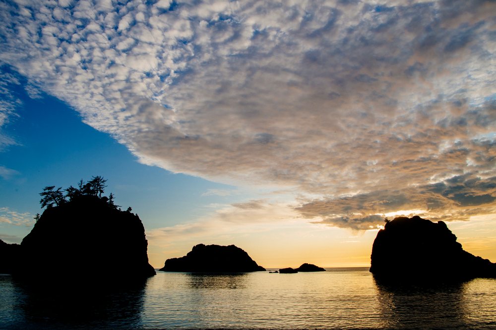 Sunset over ocean with silhouetted rock formations and trees, Boardman State Park, Oregon, USA.