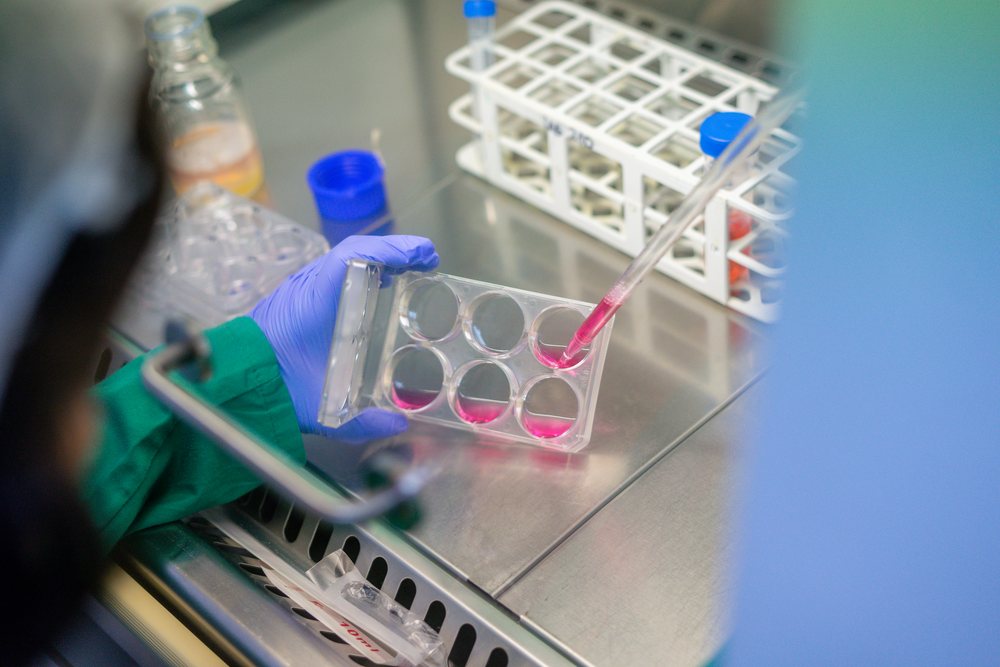 Scientist, using pipette to dispense pink liquid into multiwell plate during biological research, Laboratory, biology, Seville, Andalucía.