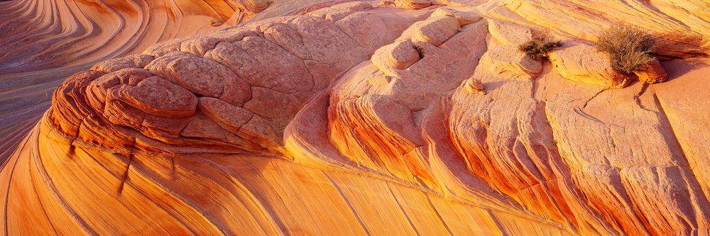 Sandstone rock formations with distinct orange stratified layers and desert scrub vegetation at Coyote Butte, Colorado Plateau, Coyote Butte Colorado Plateau, Arizona.
