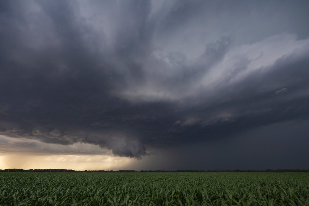 Large Supercell storm cloud forms over a green corn field near Solomon in Tornado Alley, with dark turbulent skies filling the horizon, Storm Chasing, Weather, Environmental Issues, Kansas, USA.