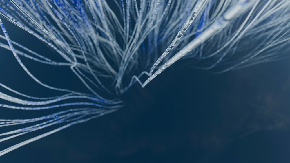 Fiber optic cables glowing with blue light representing data transmission technology.