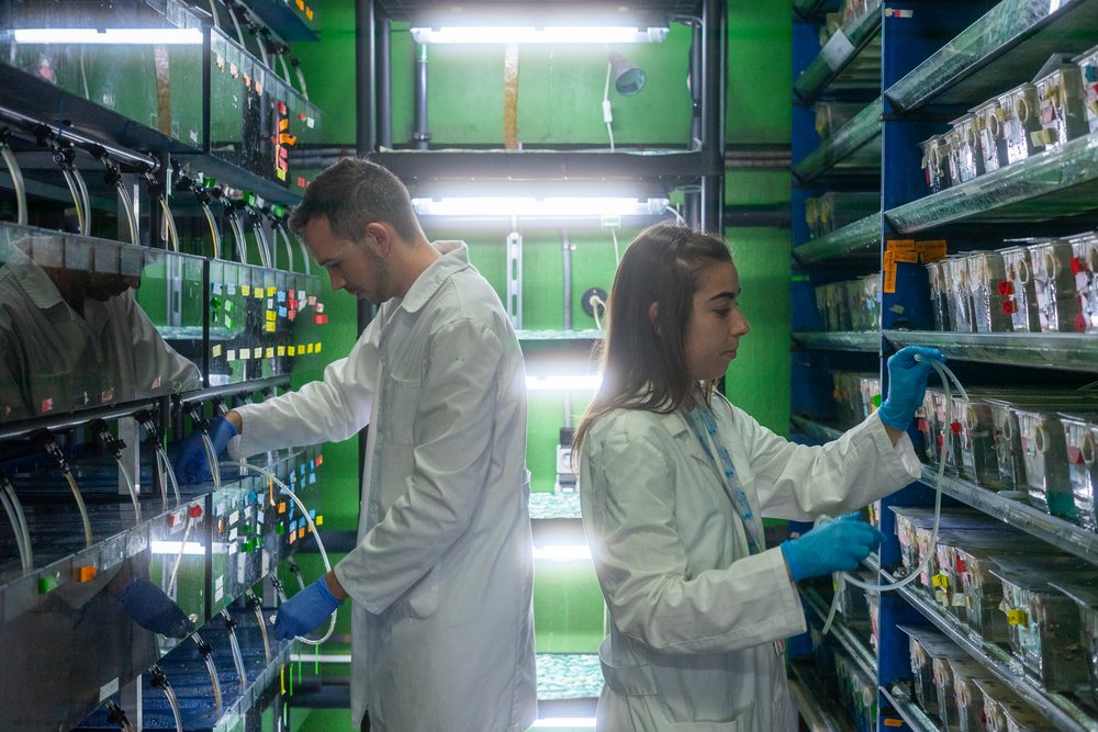 Two scientists in lab coats are working with aquatic research tanks inside a laboratory located, Spain.