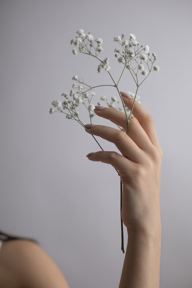 Hand delicately holds a stem of white baby's breath flowers against a neutral background, Art, portrait, emotional.