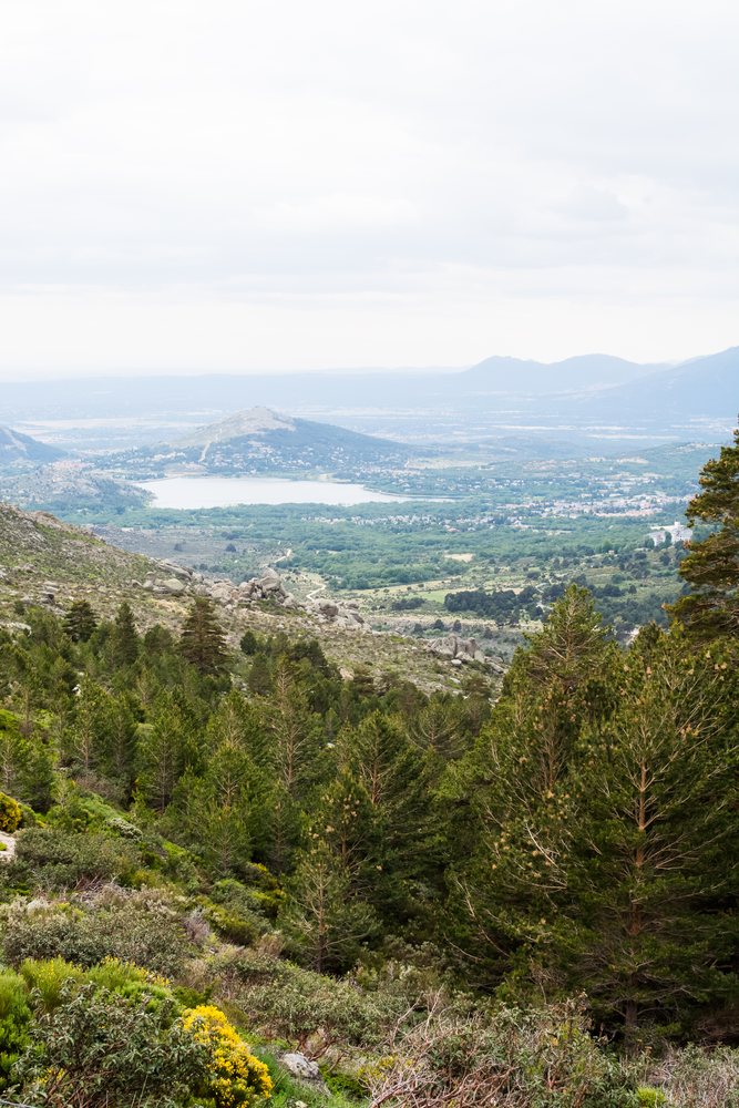 Mountain landscape with forested slopes featuring pine trees and a distant lake under a cloudy sky, kids, Spain.