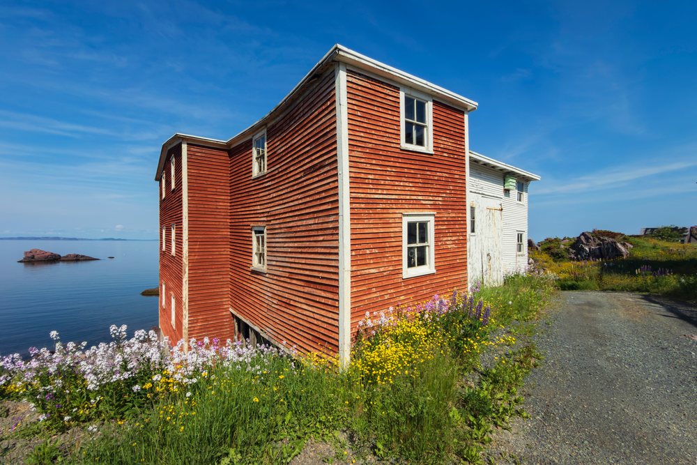 Red Wooden Building with white trim beside rocky shore and wildflowers under a blue summer sky, Landscape, Cityscape, Lifestyle, Open Hall - red Cliff, Newfoundland & Labrador, Canada.