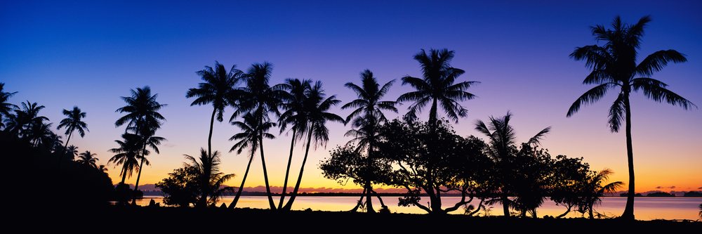 Sunrise over water with silhouetted palm trees along the shore, Sunrise Bora, Polynesia.