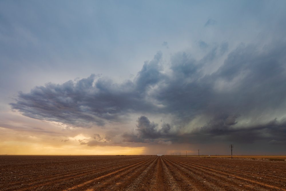 Storm clouds gather over a harvested Cotton Field with furrows and telephone poles under a sunset sky, Storm Chasing, Weather, Environment, Floydada, Texas, USA.
