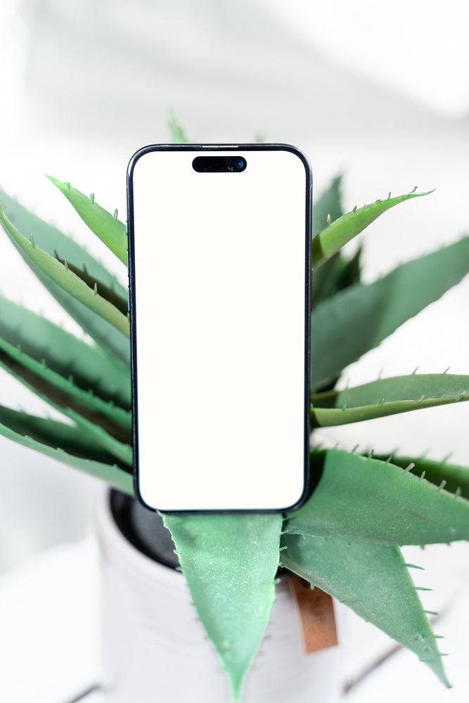 Smartphone with blank screen resting on an aloe vera plant in a white pot against a clean white background, mock up, white screen, Spain.
