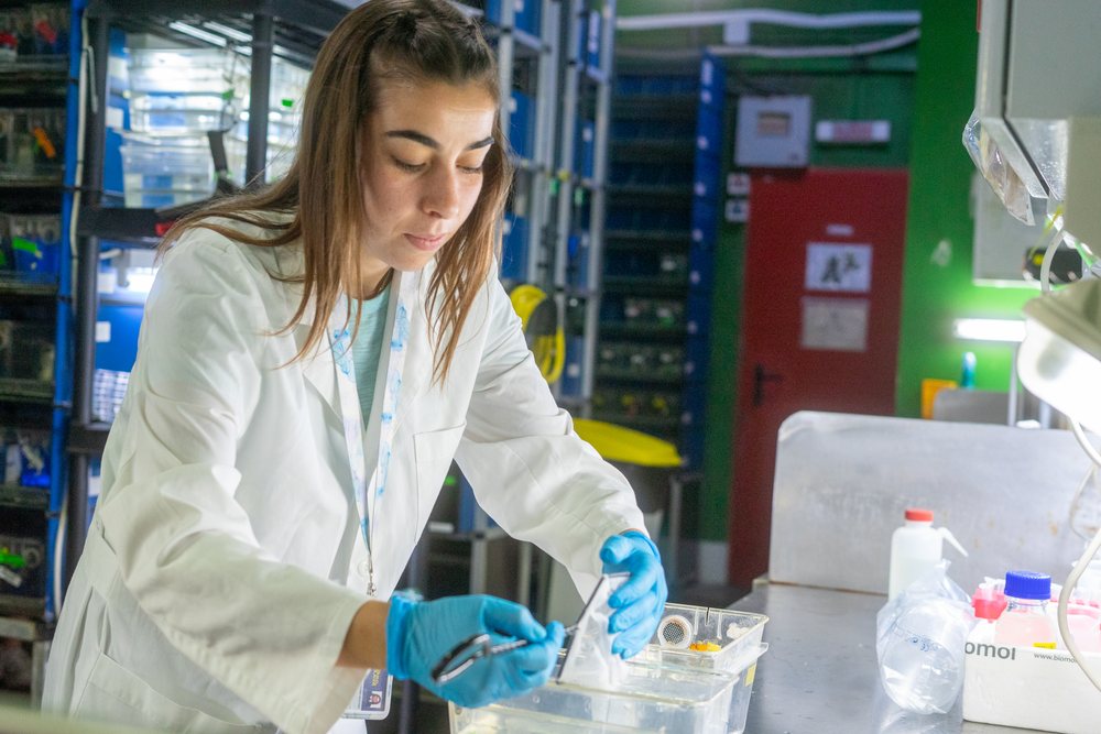 A female scientist wearing a lab coat conducts an experiment in a laboratory in Spain featuring biological research equipment.