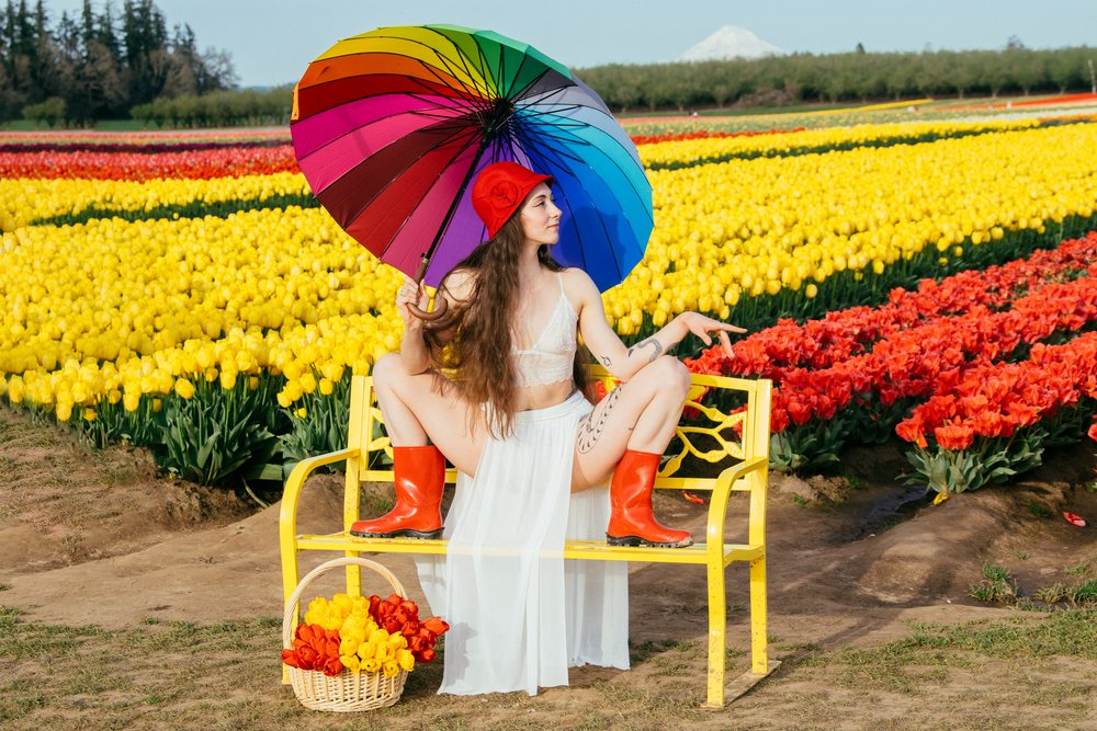 Woman sitting on a yellow bench holding a rainbow umbrella in a tulip field with a basket of red and yellow tulips on the ground, USA.