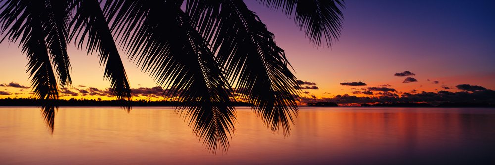 Sunset sky with vivid gradient colors reflects on calm waters framed by silhouetted palm leaves, Sunset Bora, Polynesia.