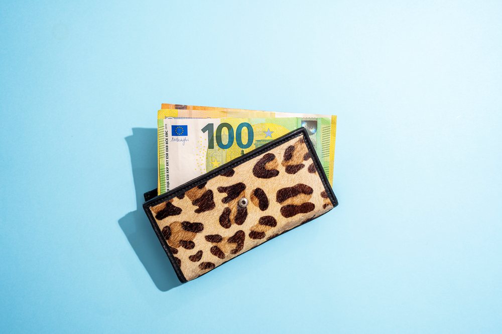 Leopard print wallet containing euro banknotes on a blue background, Studio Shot.