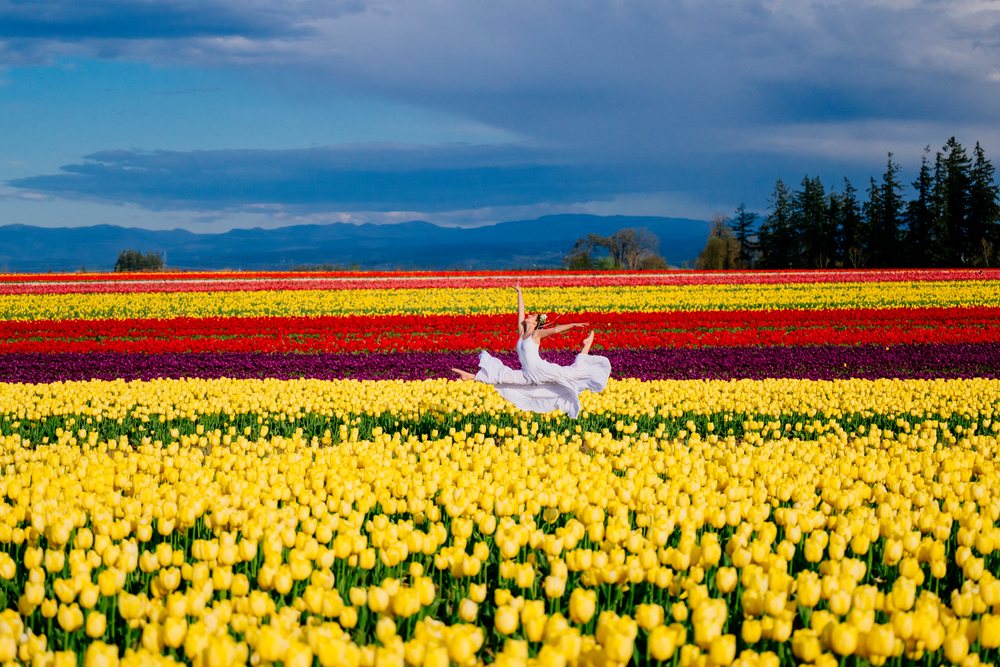 Ballet dancer performing a graceful split leap above vibrant tulip fields under a partly cloudy blue sky, USA.