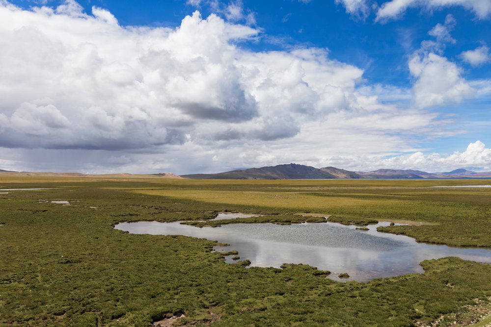 Tibetan Plateau landscape with a lake and grassy plains under clouds and blue sky, Amdo County, Autonomous Region of Tibet.