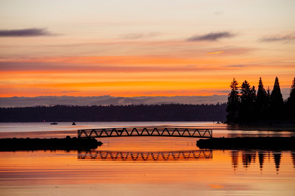 Sunset over calm water with a bridge and silhouetted trees, Bainbridge Island, WA, USA.