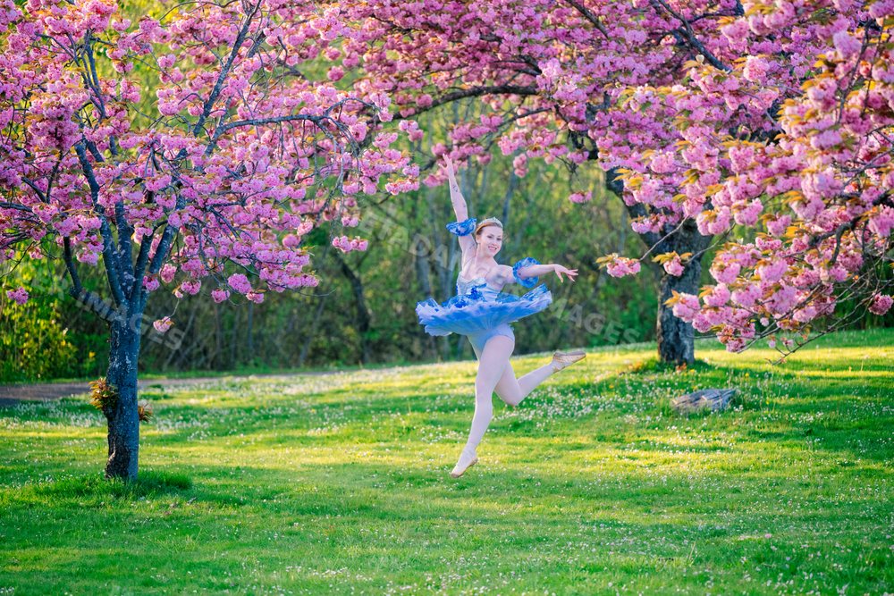 A ballerina jumps gracefully