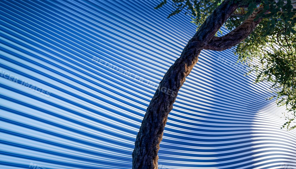 Tree trunk and leaves in front of a blue corrugated metal wall