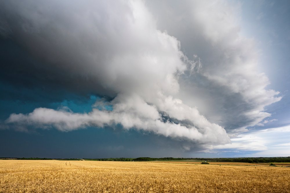 Supercell storm cloud forming over a wheat field in the Great Plains region, Weather, Environmental Issues, Storm Chasing, Leonardville, Kansas, USA.