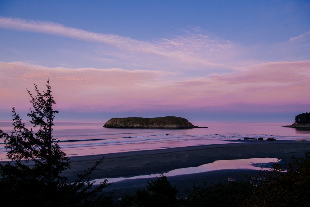 Small island with trees and sandy beach, Meyers Creek, Oregon, USA.
