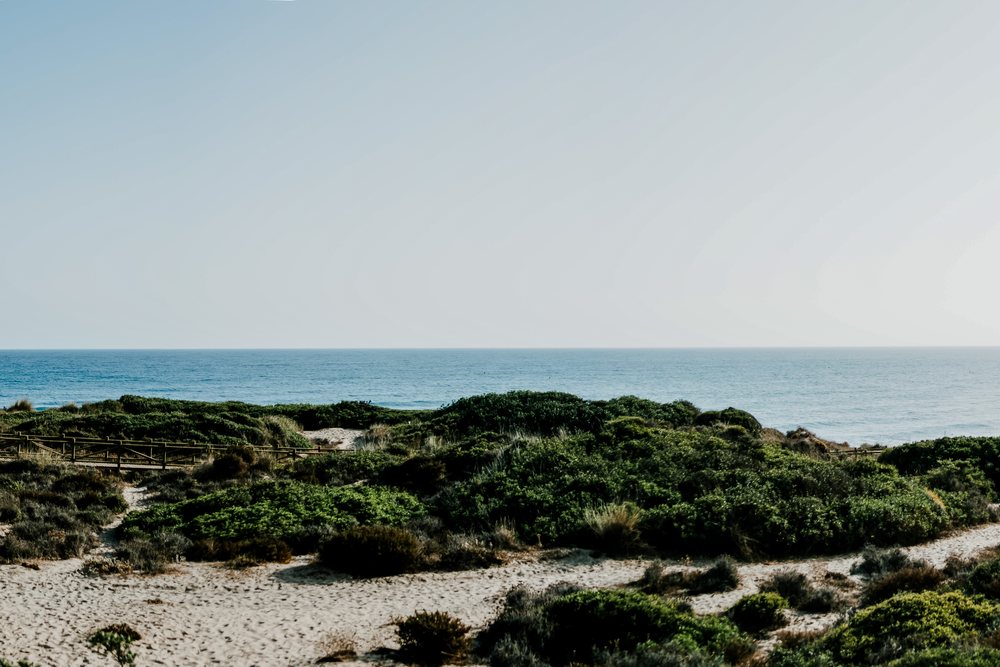 Scenic coastline with sandy beach and green shrubs alongside a calm ocean under a clear sky, Spain.