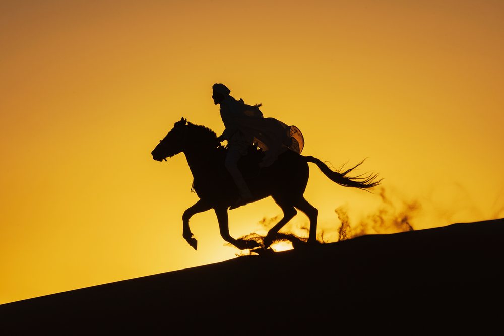 Silhouette of a Horse and Rider galloping on a Desert dune at sunset, Landscape, Lifestyle, Merzouga, Errachidia Province, Morocco.