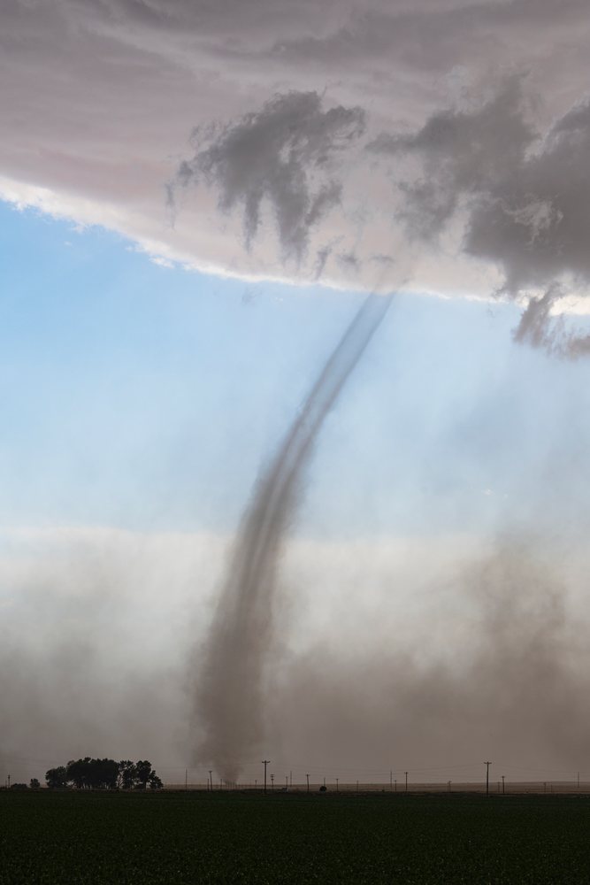 Landspout tornado with a narrow rope-like condensation funnel extends from a storm cloud above a green field with telegraph poles, Storm Chasing, Weather, Environment, Fowler, Colorado, USA.