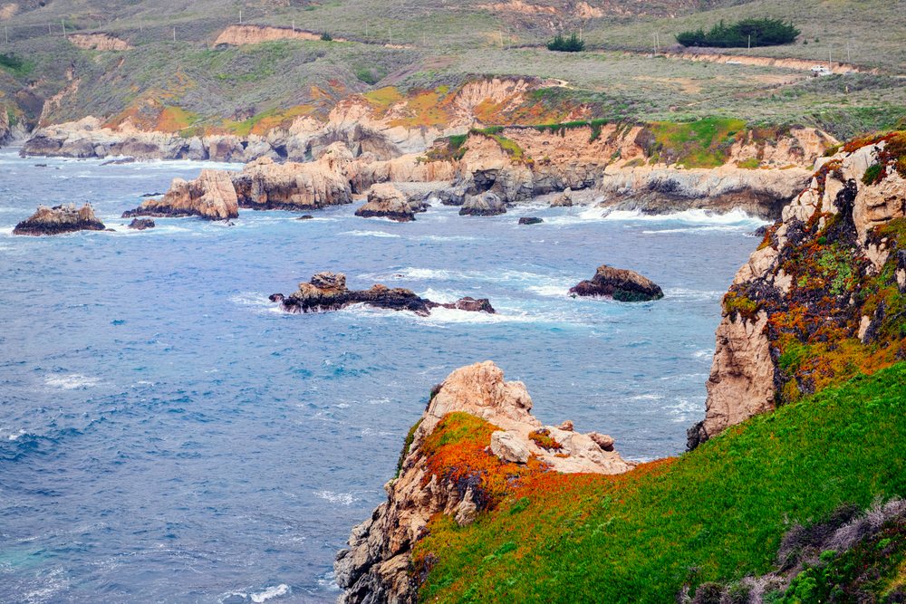 Rocky coastline along the Pacific Ocean with waves crashing against cliffs and coastal vegetation, California, USA.