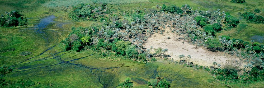 Aerial view showing dense clusters of trees including palm trees, wetland areas with water channels, large grassland expanses, and patches of dry soil under daylight.